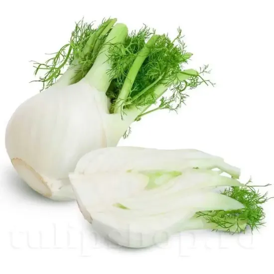 seminte fenicul giant mammouth perfection