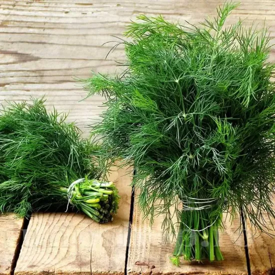 seminte marar herkules1