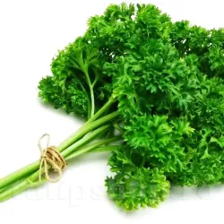 Pachet XXL Seminte Patrunjel Moss Curled 50.000buc.