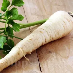 Seminte patrunjel Halblange 5.000buc.