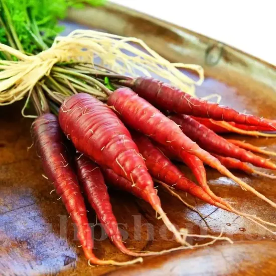 seminte morcov atomic red2