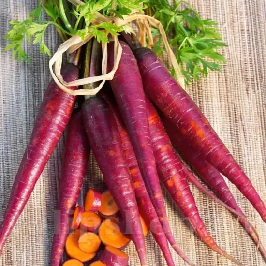 seminte morcov cosmic purple1