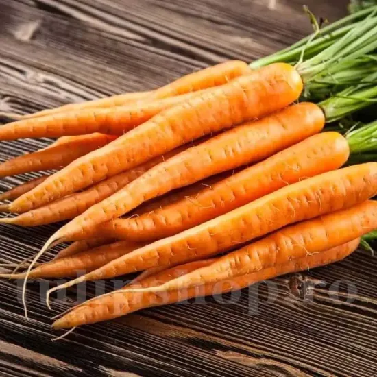 seminte morcov imperator3