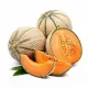 seminte pepene cantalupo di charentais1