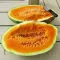 Seminte pepene Orangeglo 50buc.