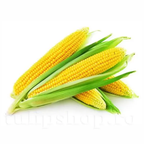 seminte porumb deliciosul