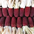 Seminte porumb floricele Strawberry Corn 100buc. seminte porumb strawberry corn stiulete mic rosu decorativ 110x110