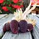 seminte porumb strawberry corn1