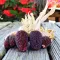 Seminte porumb floricele Strawberry Corn 100buc.