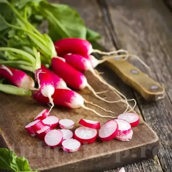 seminte ridiche de dix huit jours