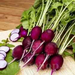 Pachet XXL seminte ridiche Malaga 10.000buc.