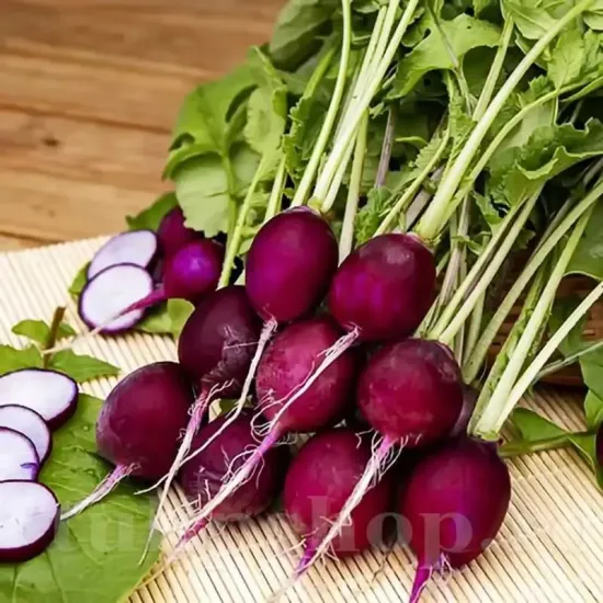 seminte ridiche malaga1