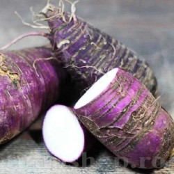 Seminte ridiche Violet de Gournay 1.000buc. Seminte ridiche Violet de Gournay 1.000buc.