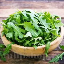 Seminte Rucola 2000buc. Seminte Rucola 2000buc.