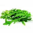 Pachet XXL seminte Rucola 20.000buc. seminte rucola2 110x110