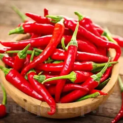 Pachet XXL Seminte ardei iute de Cayenne 1.000buc.