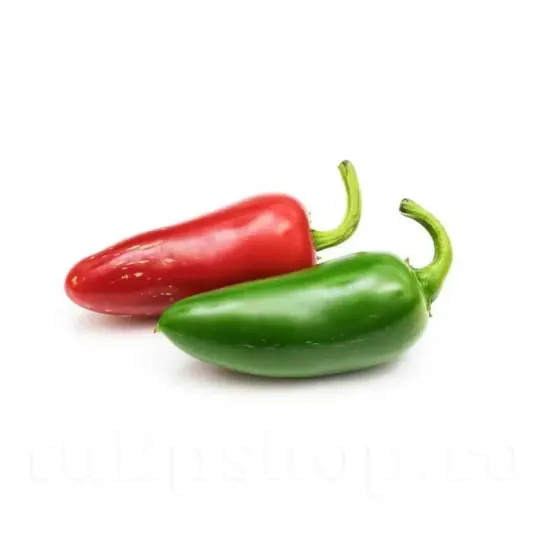seminte ardei hot jalapeno pachet xxl procesare fabrici