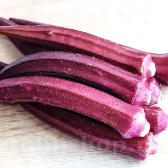 Pachet XXL Seminte bame Burgundy 1.000buc. seminte bame burgundy pachet xxl gospodari soiuri rare