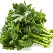 seminte brocoli raab san marzano pachet xxl furnizori en gros 110x110