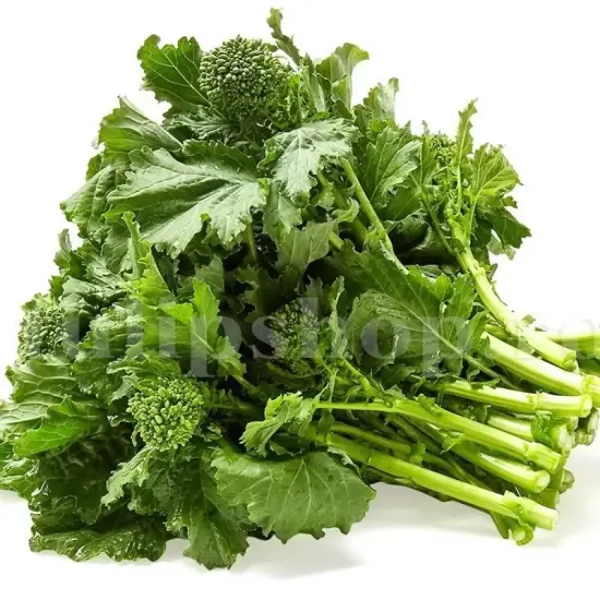 seminte brocoli raab san marzano pachet xxl furnizori en gros
