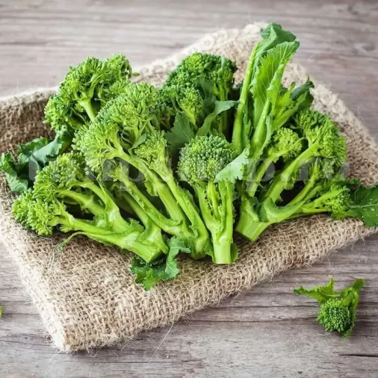 seminte brocoli raab san marzano pachet xxl gospodari gradina