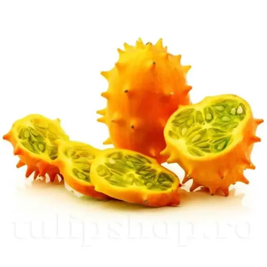 recolta castravete kiwano fruct african calitate premium