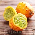Pachet XXL Seminte Kiwano 120buc.
