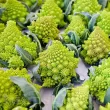 seminte conopida romanesco natalino pachet xxl gospodari gradina 110x110