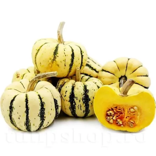 Pachet XXL Seminte Dovleac Sweet Dumpling 300buc. recolta dovleac sweet dumpling miez dulce mini calitate premium