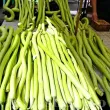 Pachet XXL Seminte dovlecei Sicilian Snake 300buc. seminte dovlecel sicilian snake pachet xxl producatori solarii 110x110