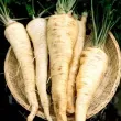 seminte patrunjel radacina alba pachet xxl gospodari gradina legume 110x110