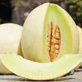 Pachet XXL seminte pepene Oliwin 1.000buc.