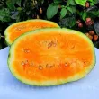 Pachet XXL seminte pepene Orangeglo 300buc. recolta pepene orangeglo miez portocaliu aromat dulce calitate premium 110x110