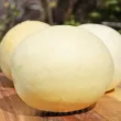 Pachet XXL seminte pepene Oliwin 1.000buc. seminte pepene galben oliwin pachet xxl furnizori en gros 110x110