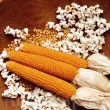 Pachet XXL Seminte porumb floricele Plomyk 1.000buc. seminte porumb popcorn pachet xxl gospodarii gustari sanatoase gradina 110x110