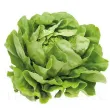 Pachet XXL Seminte salata Grosse Blonde Paresseuse 10.000buc. seminte salata grosse blonde paresseuse pachet xxl producatori salata capatana 110x110