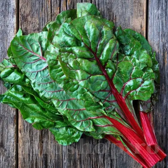 Pachet XXL Seminte Swiss Chard Rhubarb Red 3.000buc. seminte sfecla swiss chard rhubarb red pachet xxl producatori mangold rosu