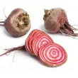 Pachet XXL seminte sfecla Tonda di Chioggia 3.000buc. seminte sfecla tonda di chioggia pachet xxl distribuitori en gros seminte 110x110