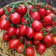 Pachet XXL seminte tomate Principe Borghese 2.000buc. recolta tomate principe borghese gust concentrat ideale deshidratare fructe mici premium 110x110