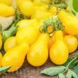 recolta tomate yellow pear gust dulce aromat fructe mici galbene premium 110x110