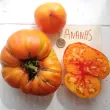 Pachet XXL seminte tomate Ananas 1.000buc. seminte tomate ananas pachet xxl distribuitori en gros seminte 110x110