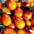 seminte tomate indigo pear drops pachet xxl distribuitori en gros seminte 110x110