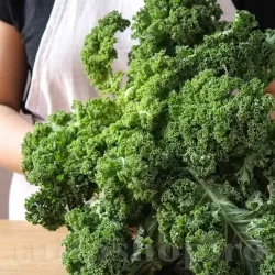 Pachet XXL Seminte varza kale Halbhoher Gruner Krauser 10.000buc. Pachet XXL Seminte varza kale Halbhoher Gruner Krauser 10.000buc.