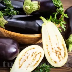 Pachet XXL seminte vinete Dragaica 2.000buc.