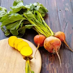 Pachet XXL seminte sfecla Burpees Golden 600buc.