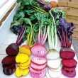 Seminte sfecla Swiss Chard Multicolor mix 300buc. seminte sfecla swiss chard mix tulpini colorate curcubeu 110x110