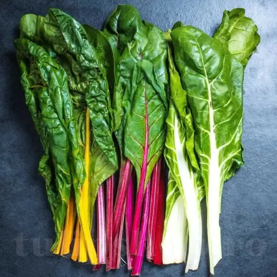 seminte sfecla swiss chard mix1