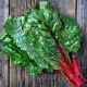 seminte sfecla swiss chard rhubarb red