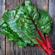 seminte sfecla swiss chard rhubarb red tulpini rosii stralucitoare 110x110