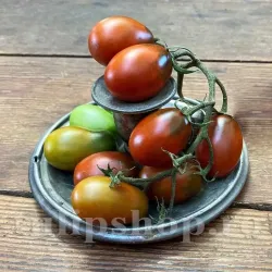 Seminte tomate Black Plum 100buc.